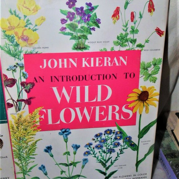 3 Book Set John Kieran An Introduction To Nature Birds Wildflowers Trees - Picture 4 of 8